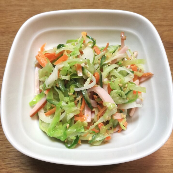 お酢とマヨネーズの野菜サラダ